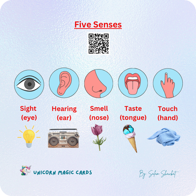Five Senses - in English and Arabic - 8 Digital Flash Cards